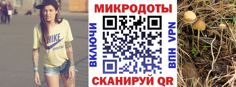 Псилоцибиновые грибы ЛСД  Слободской 